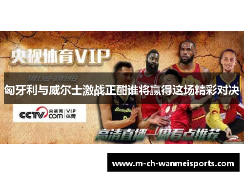 匈牙利与威尔士激战正酣谁将赢得这场精彩对决